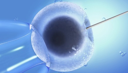 私人同性供卵代孕报价多少试管婴儿中心